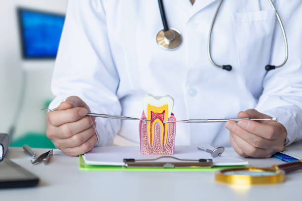 Best Emergency Dental Care for Trauma or Injury in Kensington Park, FL